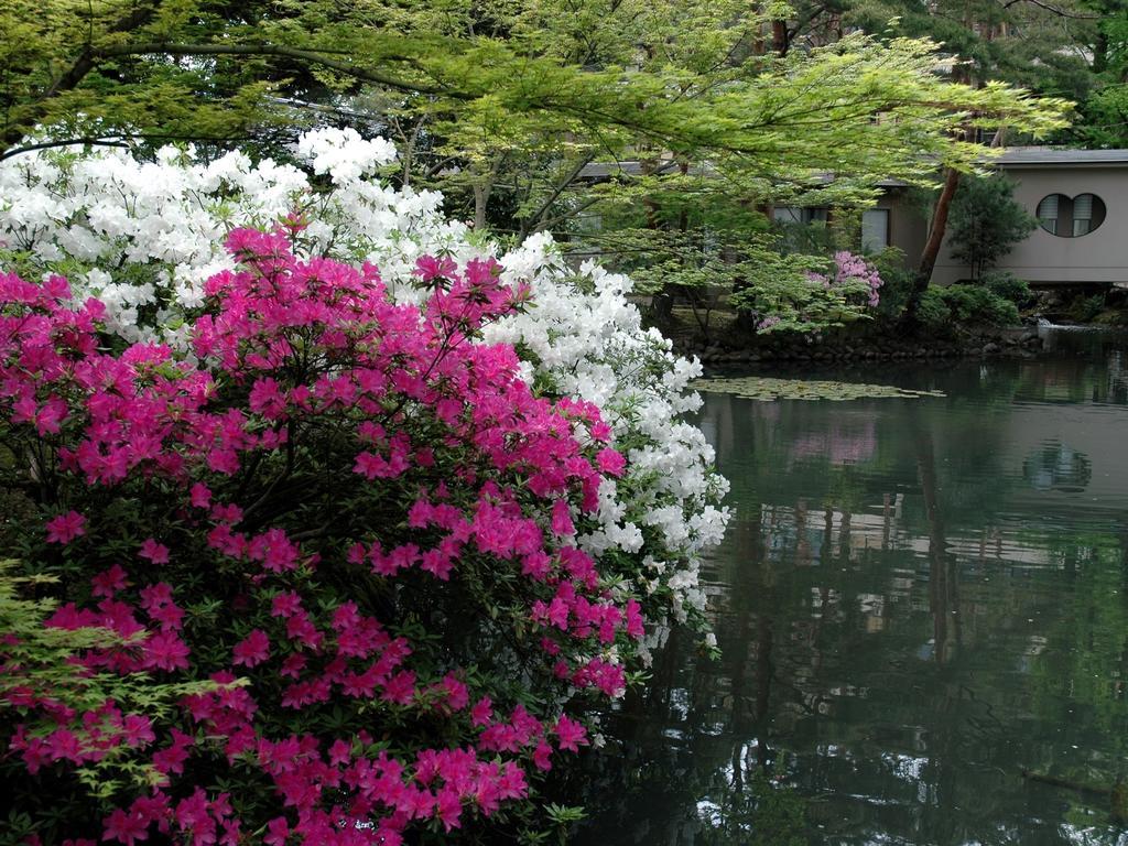 Matsusaki Nomi Exteriér fotografie