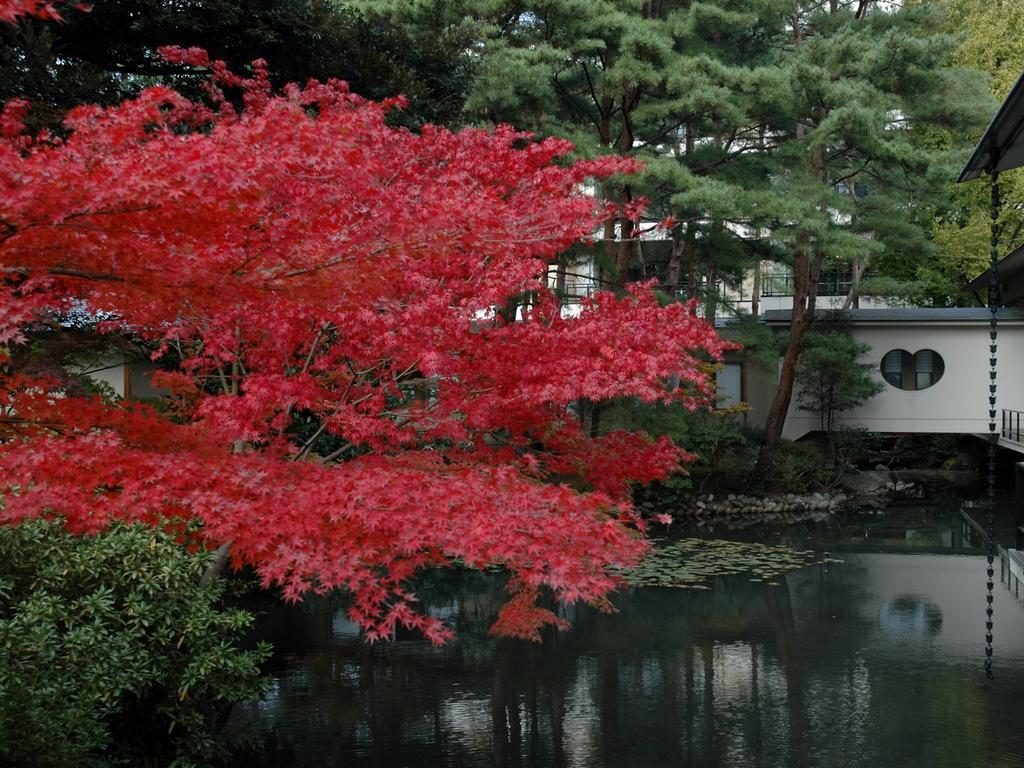 Matsusaki Nomi Exteriér fotografie
