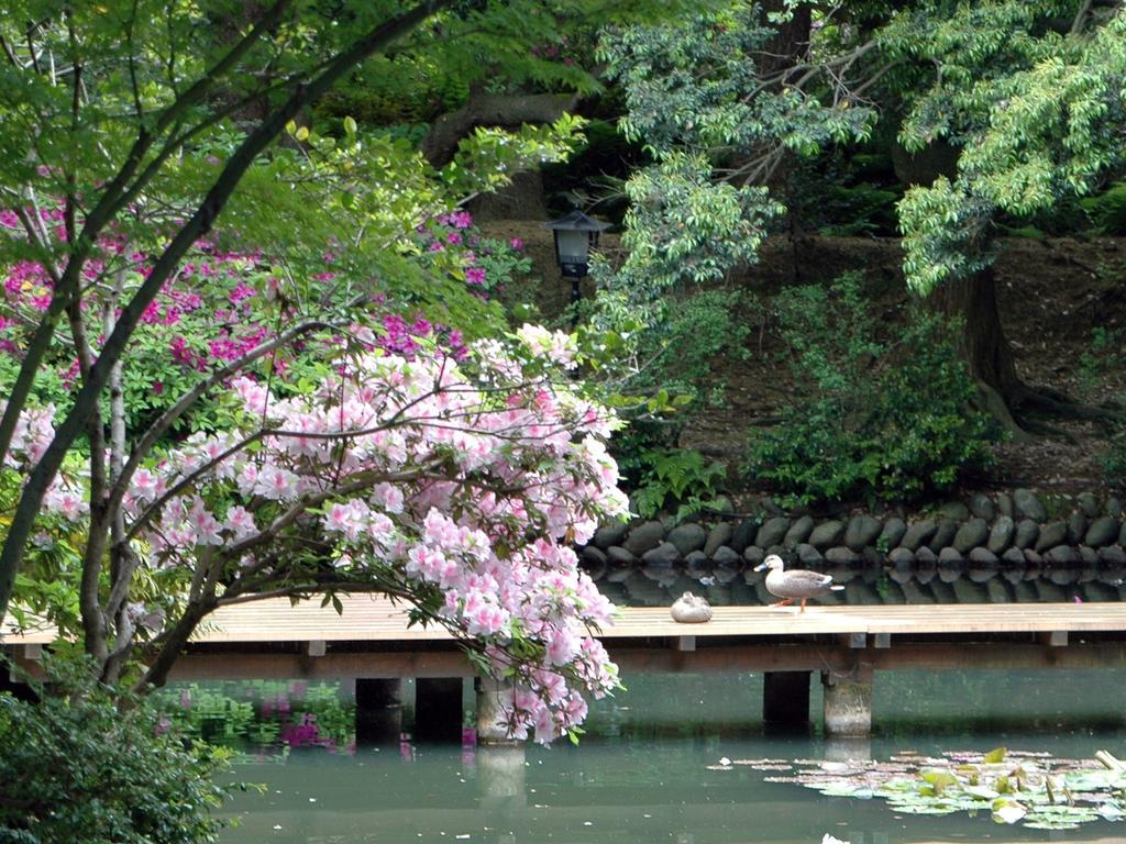 Matsusaki Nomi Exteriér fotografie