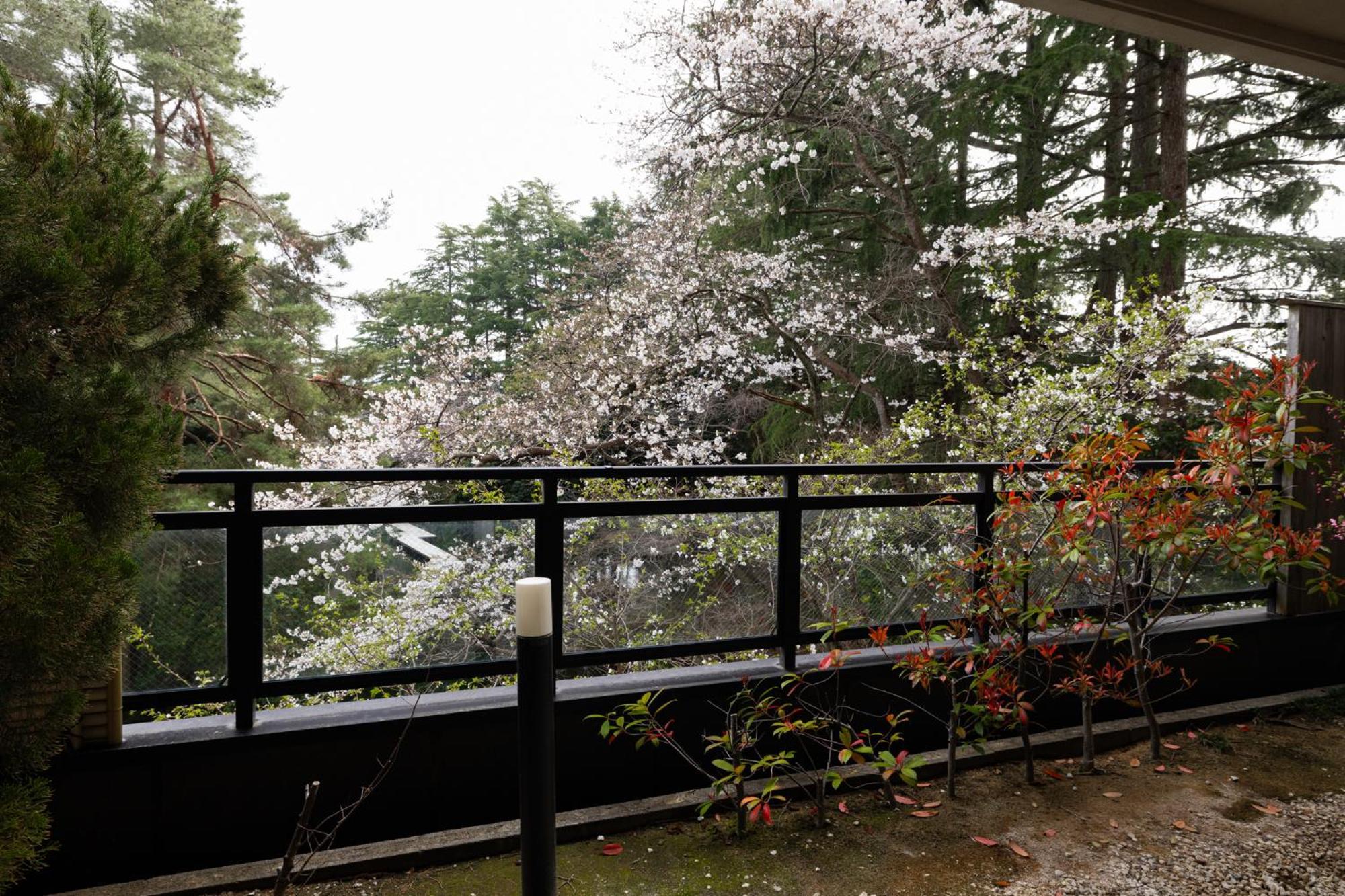 Matsusaki Nomi Exteriér fotografie